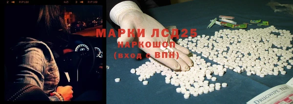 стаф Кулебаки
