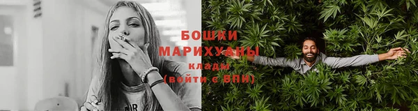 мдпв Ладушкин