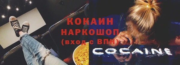 мдпв Ладушкин