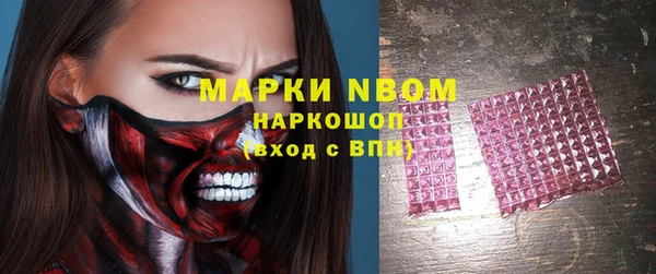 стаф Кулебаки