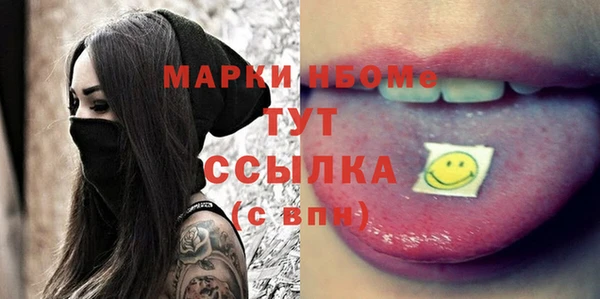 мдпв Ладушкин